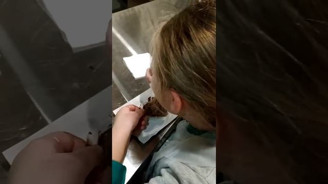 Музей Шоколада Одесса ! Делаем сами шоколад! смотреть онлайн