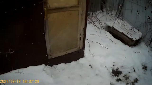 Мир сошёл сума, теперь в магазин необходимо приходить с телохранителем. смотреть онлайн