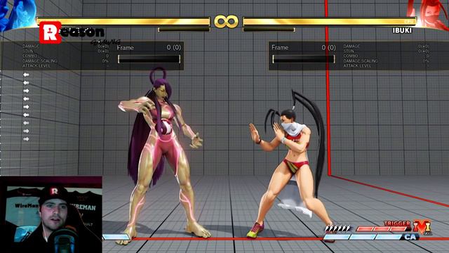 WT/sF Ep14: Beginner essentials! Street Fighter V beginner tips, new character advice etc etc смотреть онлайн