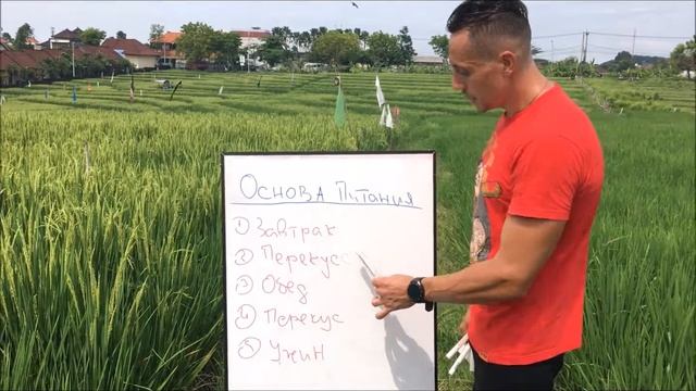основа питания смотреть онлайн