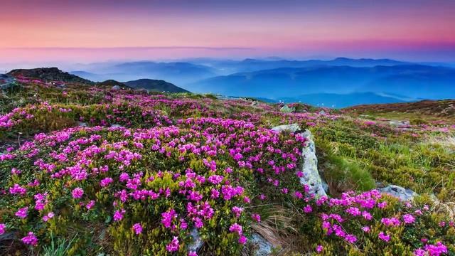 Relaxing Piano Music, Calm Music, Positive Energy Vibration, Relaxing Music, Meditation Music