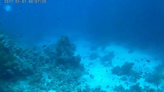 Красное море дайвинг. смотреть онлайн
