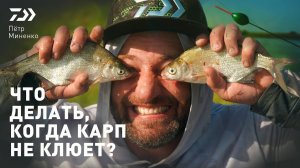 КОГДА КАРП НЕ КЛЮЁТ х ПЕТР МИНЕНКО