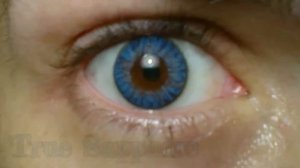 аlcon контактные линзы air optix for astigmatism