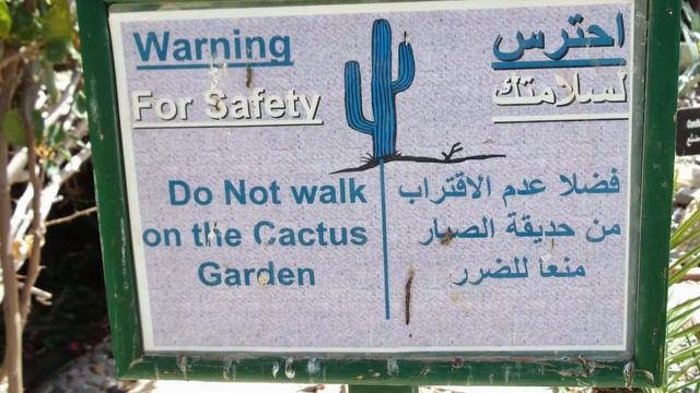 египет.апрель 2014г. смотреть онлайн