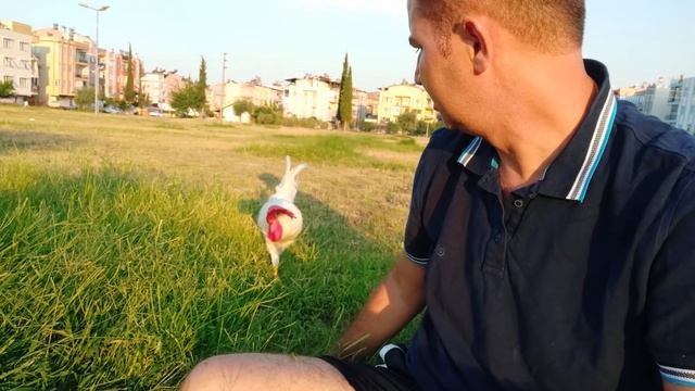 НАЙДИ МНЕ МУЖА - просят меня! Турецкие родственники/ Культура отношений по-турецки/ Анталия смотреть онлайн