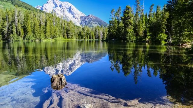 Пока шел декрет, муж почувствовал себя богом Истории из жизни Жизненные истории смотреть онлайн