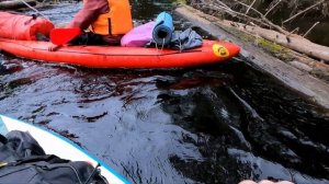 Сплав по реке Поля в начале мая 2023г от Кривандино до Жохово с двумя ночевками.