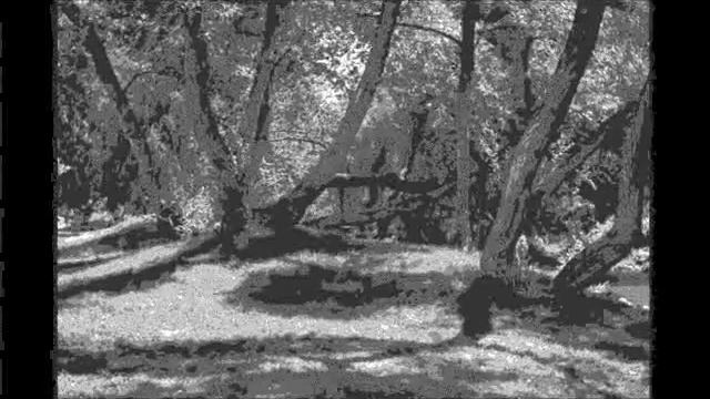 MY WELCOME LAND - WRONG BONGO (私の歓迎する土地 - 間違ったボンゴ) смотреть онлайн