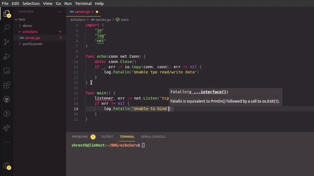 Coding - Concurrent Echo Server || Offensive GO Tutorial 2021 смотреть онлайн
