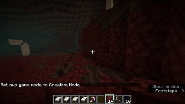 Set Seed Tutorial for 1.16.1 смотреть онлайн