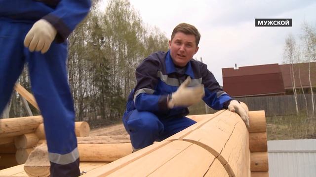 Возведение стен из оцилиндрованного бревна, практика укладки. Стройка 56 смотреть онлайн