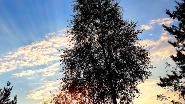 ГОРОДАМ - ОБЛАКАМ, февраль 2023 год. Стихи и фото А. Шведун. Читает автор. смотреть онлайн