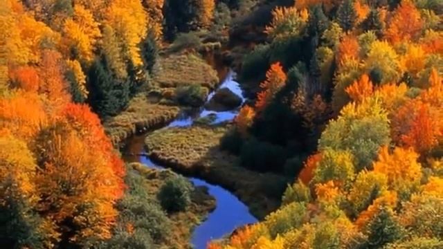 6 октября 2021 г. смотреть онлайн