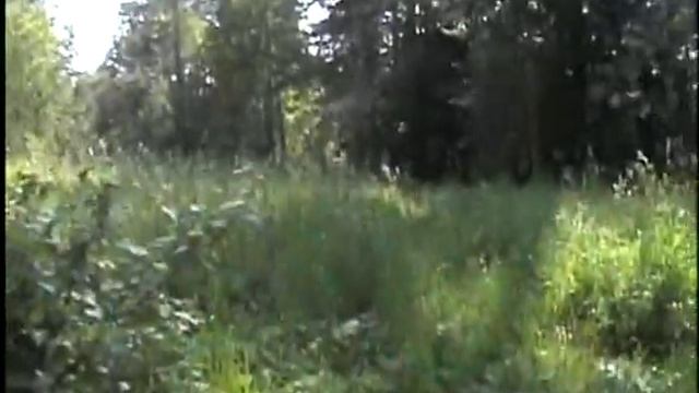 Золотые нити. Часть 1. смотреть онлайн