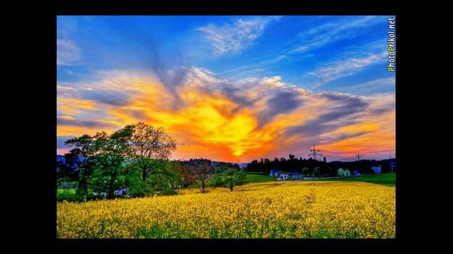 ИГОРЬ ТАЛЬКОВ К ВАМ смотреть онлайн