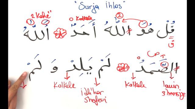 Analizim Texhvidi i Sures Ihlas. Msc. Gezim Dungaj. #islam #quran #gezimdungaj смотреть онлайн