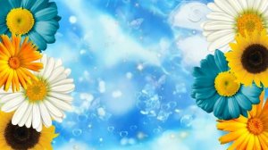 Футаж. Цветы.