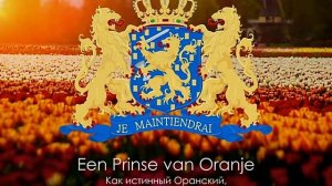 Гимн Нидерландов с переводом   Dutch anthem with translation