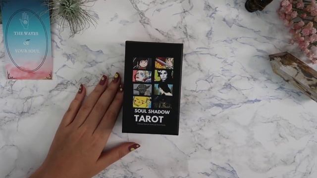 TAROT & ORACLE DECK HAUL? (I was NOT ready ?) new decks joining my collection this month смотреть онлайн