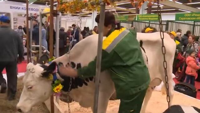 «Золотая осень-2018» смотреть онлайн