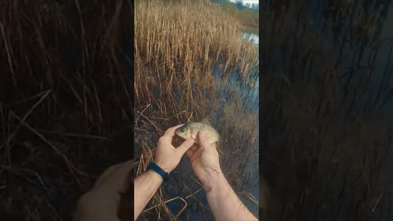 Ловлю рыбу как ИНДЕЕЦ!  #shorts