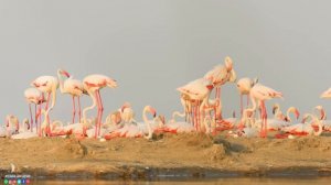 Красивая мелодия до слёз! Самая красивая мелодия в мире! Три месяца я слушала только эту музыку