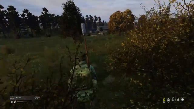 DayZ VMC Heli Crash Kill PS4 смотреть онлайн