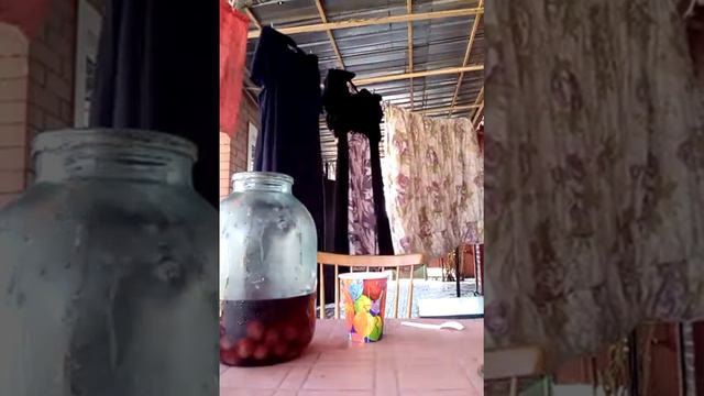 Ответчик-музыка