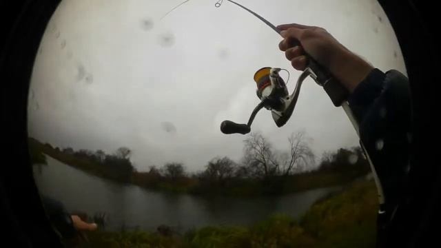 FishUp Wizzle Shad смотреть онлайн