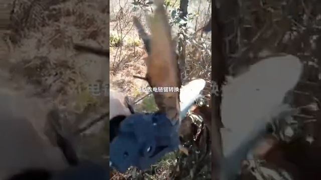 Насадка для шуруповерта - цепная пила! смотреть онлайн