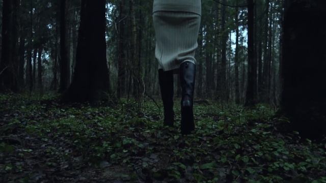 Загадочный лес. Зеленоград. смотреть онлайн