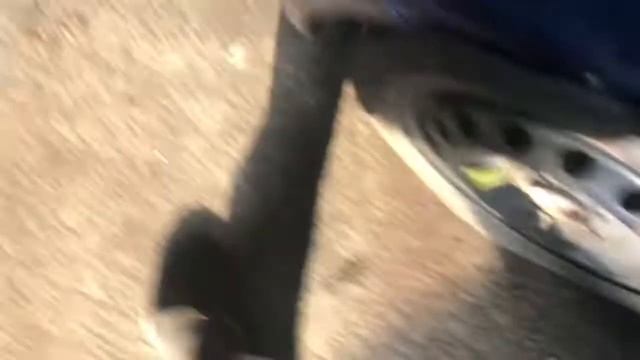 Разборка Volkswagen - Golf 4 1997-2005, 1.9 Инжектор (VIN: WVWZZZ1JZ1W193755) V3562 смотреть онлайн