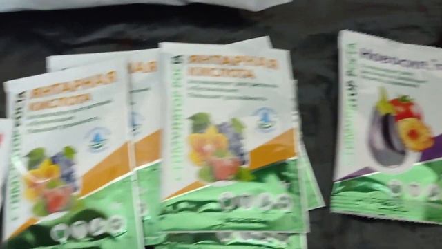 Пересадка орхидеи. Посадка орхидеи в керамзит. 🪴🪴🪴 смотреть онлайн