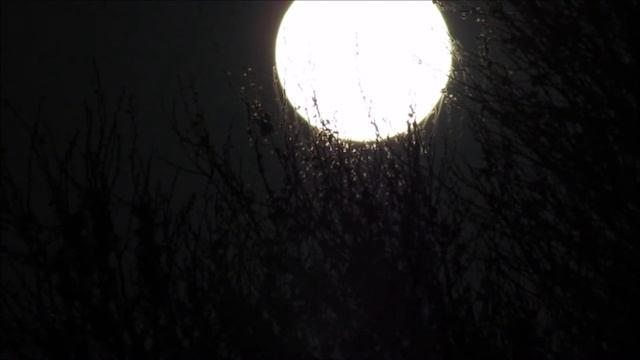 The Moon - Filmed with Canon SX410 смотреть онлайн