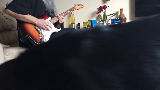 Practice pedalboard practice смотреть онлайн
