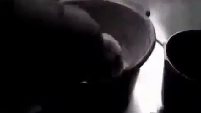 Стоимость общей кремации собак в Москве смотреть онлайн