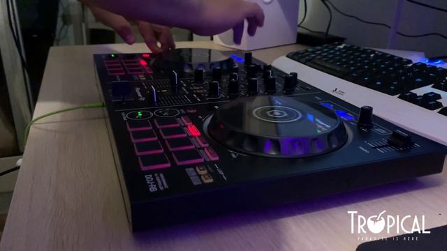 Engesca't Set - Tropical Beats смотреть онлайн