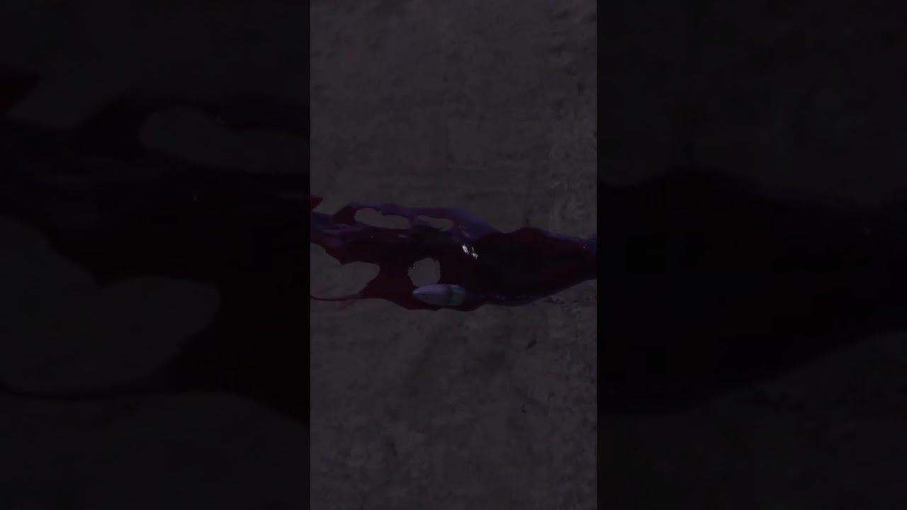 Прохождение снайпера #shorts #sniperghostwarriorcontracts2прохождение смотреть онлайн