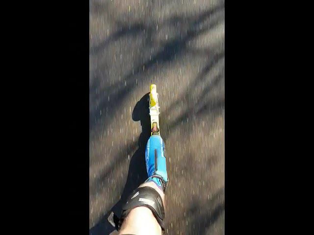 #зож #спорт #лыжероллеры #тренировки смотреть онлайн