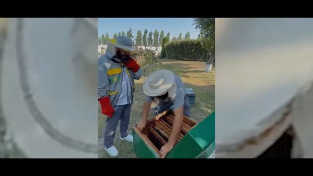 Первый мёд новичка доктора смотреть онлайн