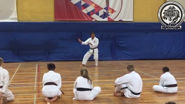 RTKF. Masao Kawasoe. 2016 JKA Odintsovo seminar. смотреть онлайн