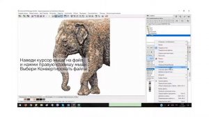 Уроки Embird: Как конвертировать файлы машинной вышивки в формат понятный машине