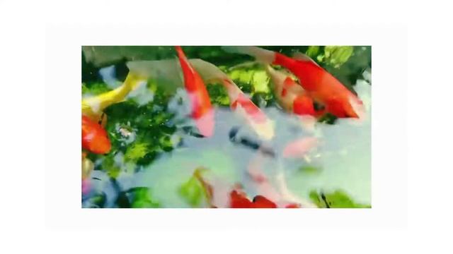 Самая лучшая музыка для йоги. Музыка для йоги. Музыка для глубокого сна смотреть онлайн