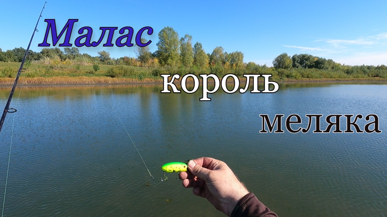 Осенняя рыбалка на щуку.МАЛАС король меляка.Часть 2 смотреть онлайн