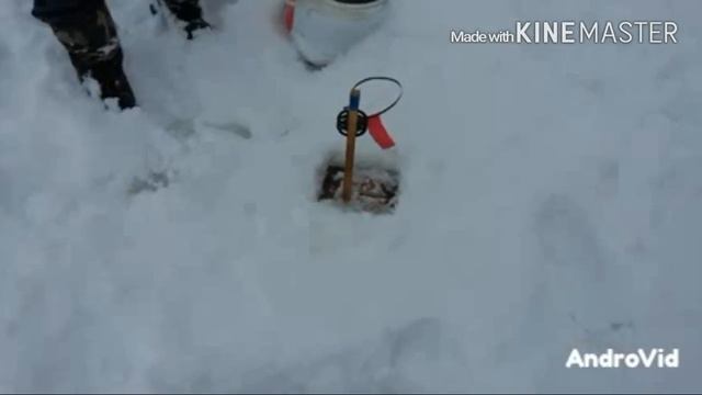 Ловля щуки на живца (зимой) смотреть онлайн