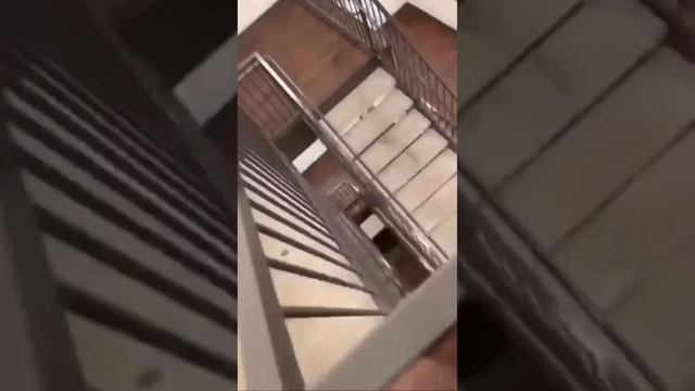 Быстрый спуск смотреть онлайн