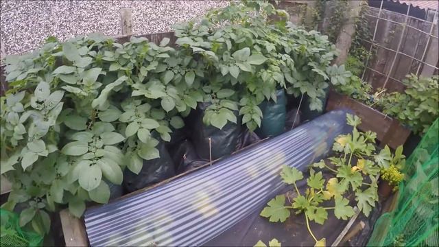 preparing the garden for me to go on holiday смотреть онлайн