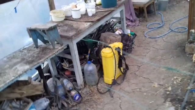 Подкормка Огурцов в Теплице Калийными удобрениями. Борьба с тлёй. смотреть онлайн