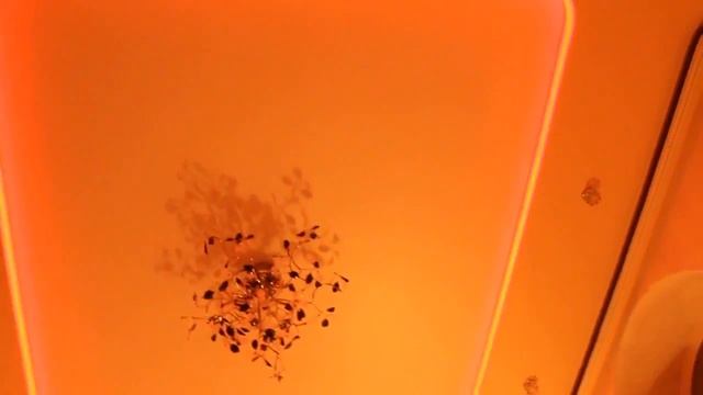 Светодиодная лента под натяжным потолком смотреть онлайн